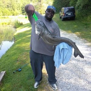 Meet your Posher, James